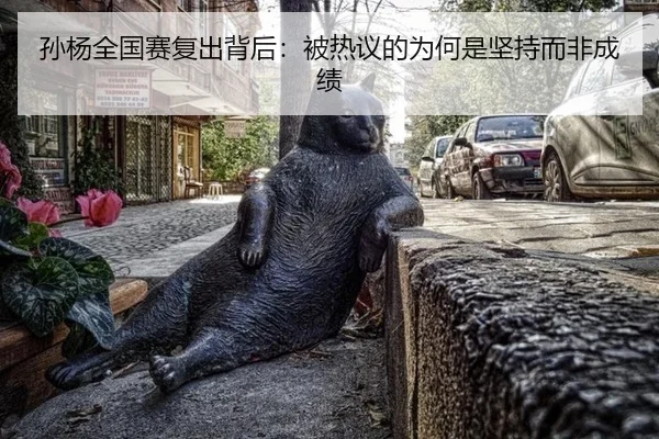 孙杨全国赛复出背后：被热议的为何是坚持而非成绩 | leyu